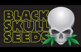 Blackskull Seeds