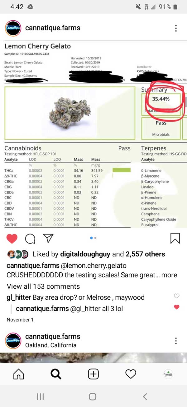 Lab Result for High THC Seeds