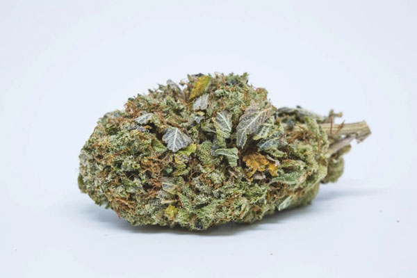 Bubba Kush Top Ten Indica Marijuana Strains 2024