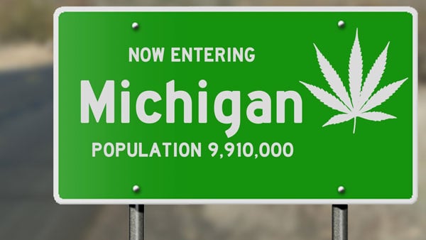 Buy Michigan Cannabis Seeds Online