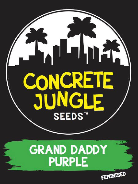 Concrete Jungle Grand Daddy Purple Seeds for Sale