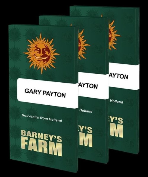 Gary Payton Top 2024 Cannabis Seeds