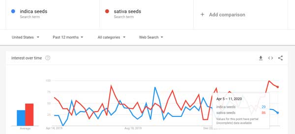 Indica vs Sativa cannabis seed search 