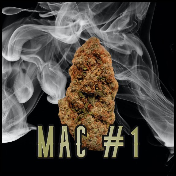 Mac 1 Seeds for Sale Online