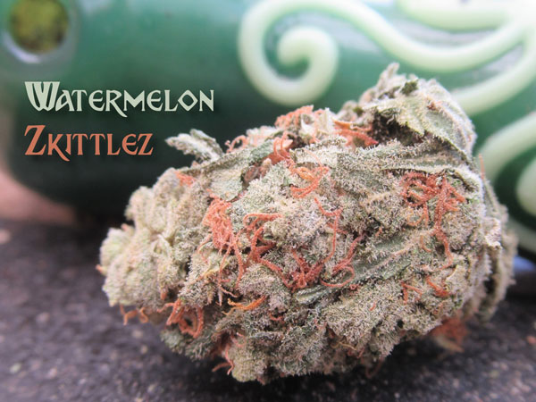 Watermelon Zkittlez by Professor Trichome Marijuana Seed