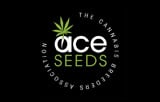 Ace Seed bank