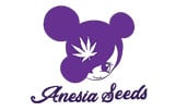 Anesia Seeds