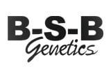 BSB พันธุศาสตร์