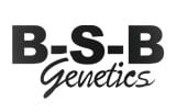 BSB Genetics