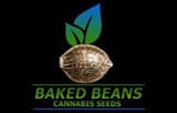 Baked Beans Cannabis Seeds