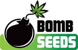 Bomb Seeds