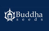 Buddha Seeds