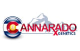 Генетика на Cannarado