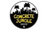 Concrete Jungle Seeds