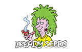 Dready Seeds