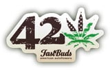 FastBuds