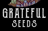 Grateful Seeds