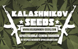 Kalashnikov Seeds