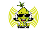 Loud Seeds