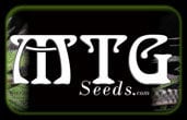 MTG Seeds