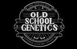 Senosios mokyklos genetika