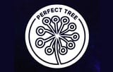 完璧な木の種