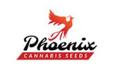 Phoenix Cannabis Seeds