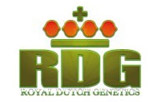 Royal Dutch Genetics