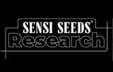 Sensi Research Seeds