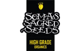 Soma Seeds