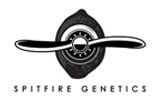 Spitfire-Genetik