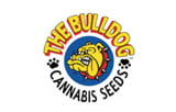 The Bulldog Seeds