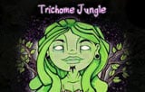 Trichome Jungle frø