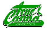 True Canna Genetics