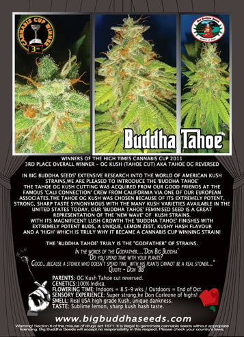 Buddha Tahoe - Big Buddha Seeds