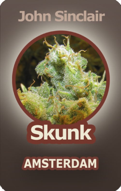 Skunk - John Sinclair Seeds