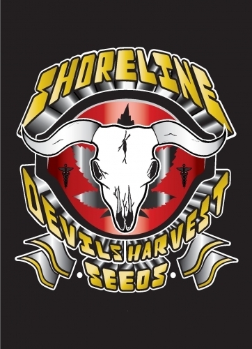Shoreline - Devil's Harvest Seeds