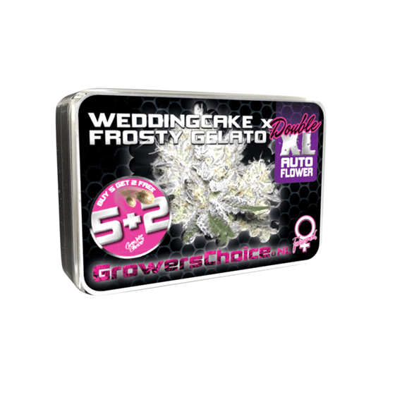 Wedding Cake x Frosty Gelato Double XL Auto Cannabis Seeds