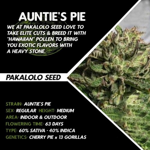 Auntie's Pie - Pakalolo Seed