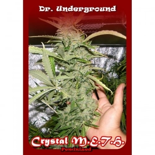 クリスタルメッシュ -  Dr Underground