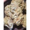 ครีมม่วง - Zmoothiez Seeds