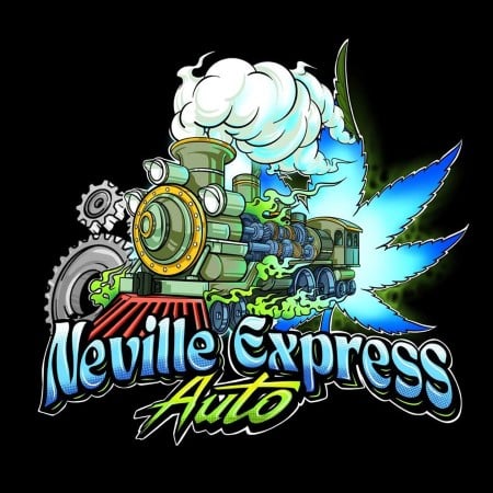 Semillas de cannabis Neville Express Auto