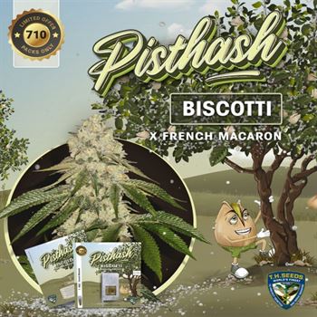 SALE - Pisthash - TH Seeds - Cannabis Seed Sale Items