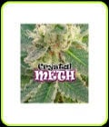 Crystal METH-Dr Underground