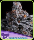 High MARS-Anesia Seeds