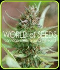 Strawberry Blue-World of Seeds