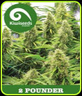 2 Pounder - Kiwi Seeds