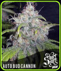 Auto Bud Cannon - Short Stuff Seeds