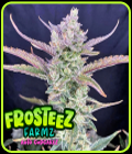 Auto CupCakez - Frosteez Farmz