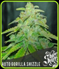 Auto Gorilla Shizzle - Short Stuff Seeds